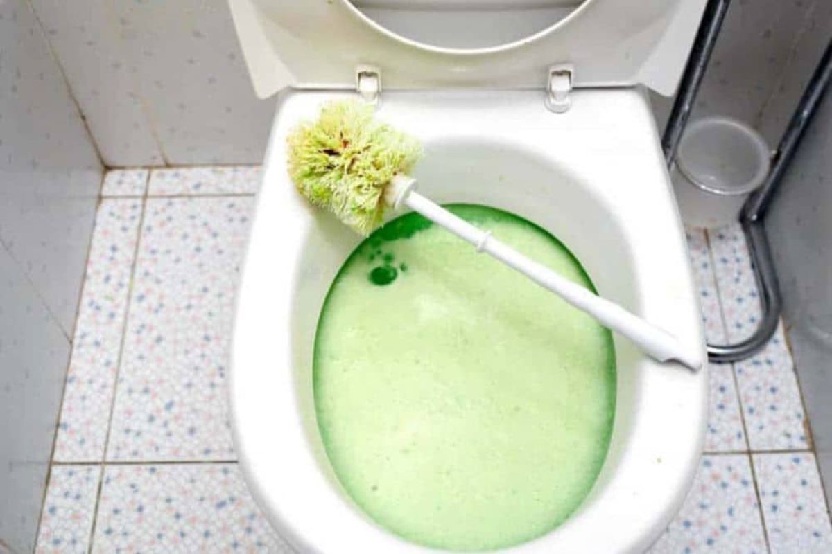 The Main Causes Of Sewer Backups