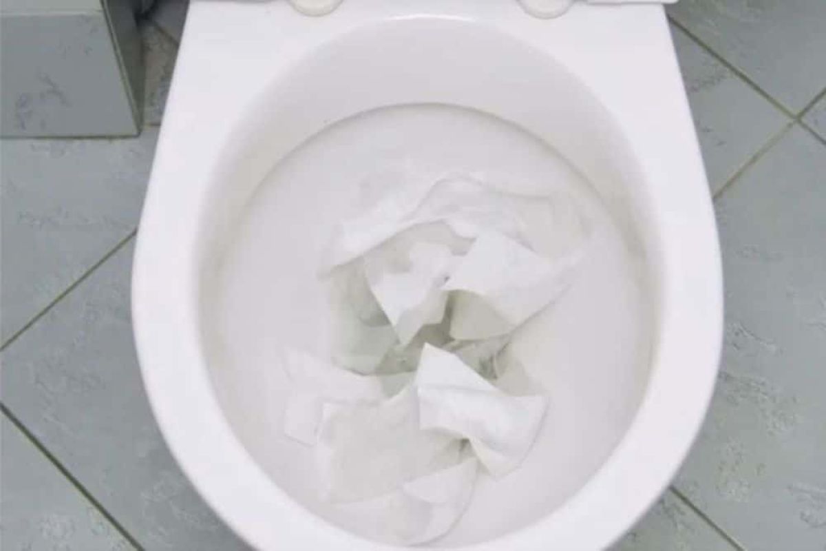 No Plunger No Problem Weymouth Clogged Toilet