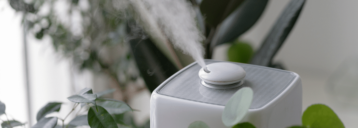 Should I Invest in a Whole-Home Humidifier To Combat Dry Winter Air?